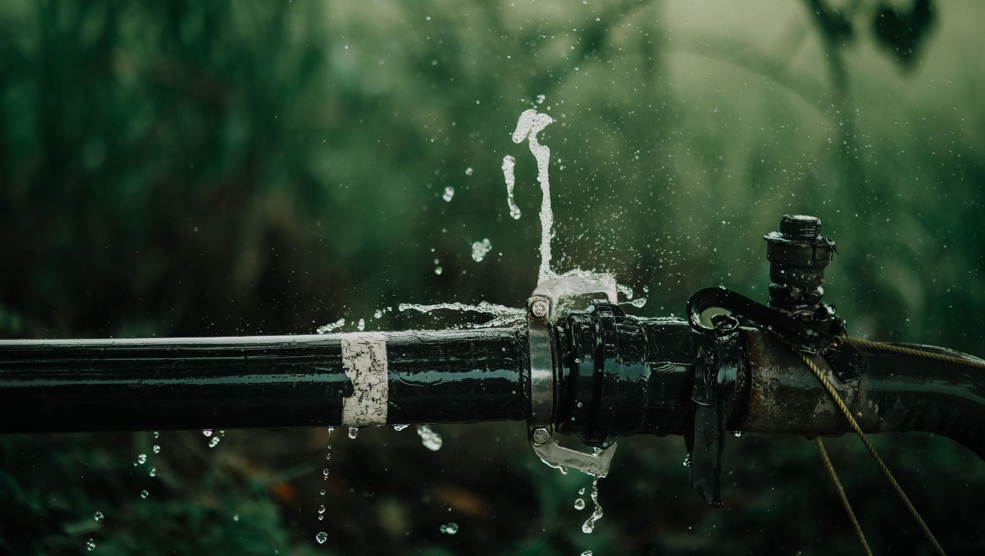 A detailed view of a leaking water pipe in a lush green garden setting.